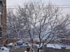 Next picture :: Wallpaper - Quetta Snowfall January 2012 (23) - 4608 x 3456